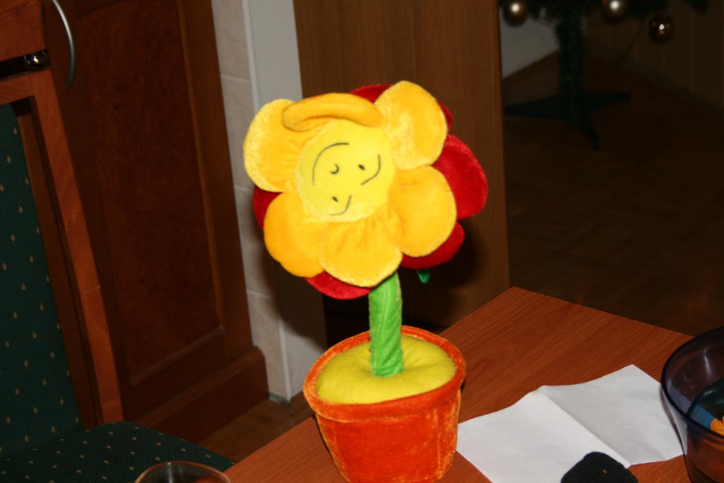 i/Kranj/NovoLeto08/Picture (112).jpg_1024.jpg